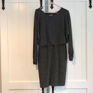 Shimmery long sleeved knee length dress.